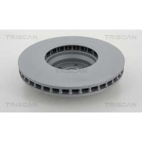 TRISCAN Bremsscheibe 8120 101010c