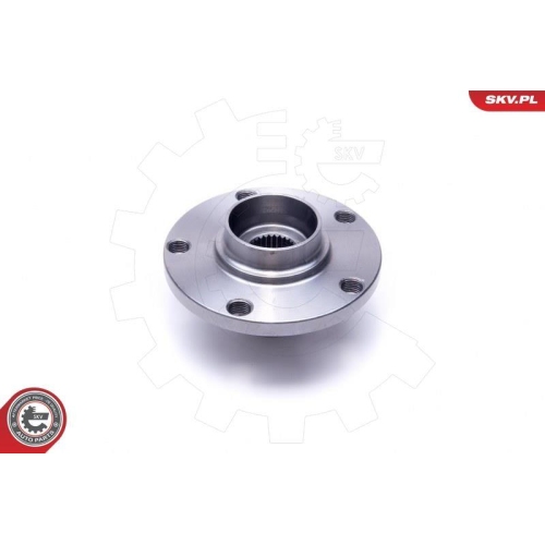 ESEN SKV Radlagersatz