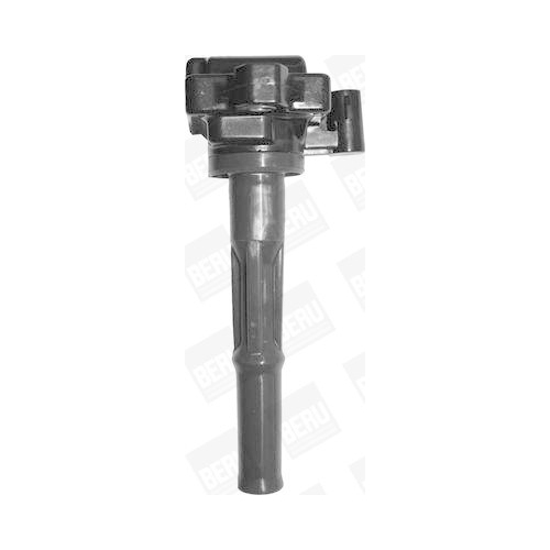 BorgWarner (BERU) Z&uuml;ndspule ZS473