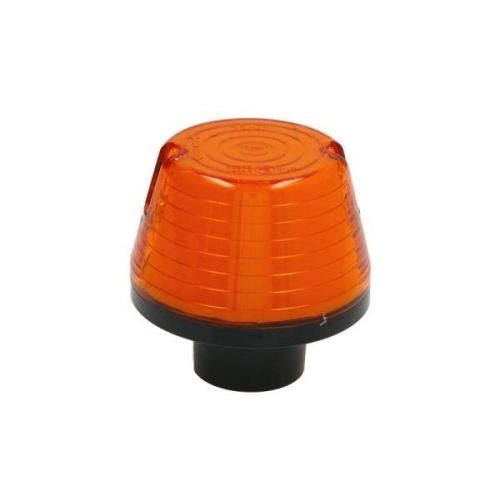 TRUCKLIGHT Blinkleuchte CL-MA009