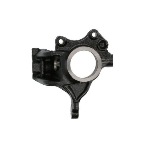 REINHOCH Achsschenkel, Radaufh&auml;ngung RH08-2038