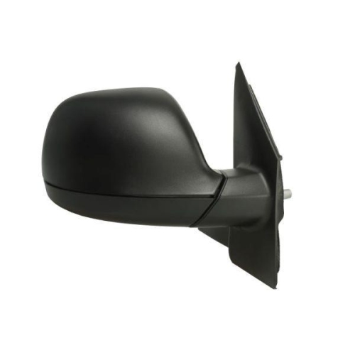 BLIC Außenspiegel 5402-01-039364P