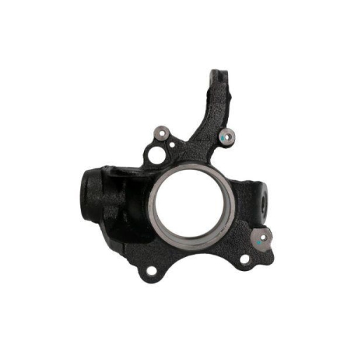 REINHOCH Achsschenkel, Radaufhängung RH08-0013