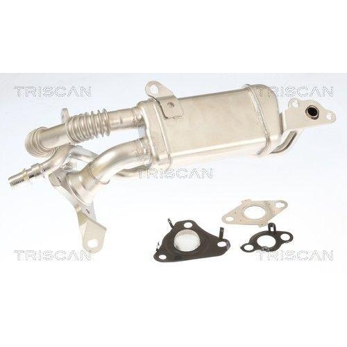 TRISCAN K&uuml;hler, Abgasr&uuml;ckf&uuml;hrung 8813 10061