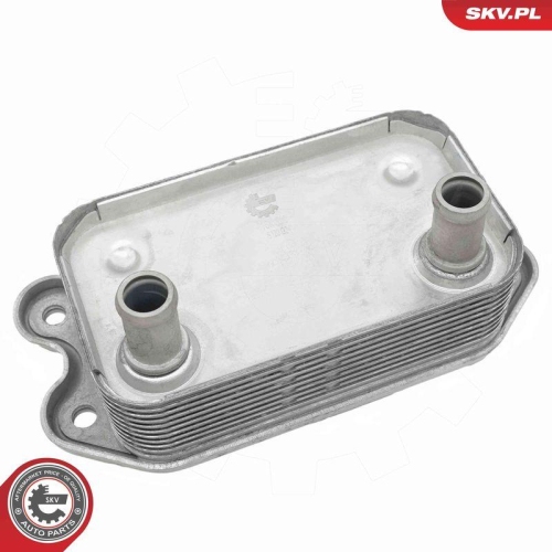 ESEN SKV &Ouml;lk&uuml;hler, Motor&ouml;l