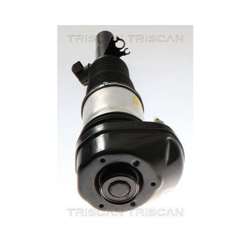 TRISCAN Luftfederbein 8720 11101