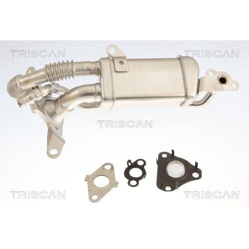 TRISCAN K&uuml;hler, Abgasr&uuml;ckf&uuml;hrung 8813 25049