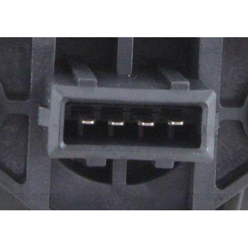 TRISCAN Luftmassenmesser