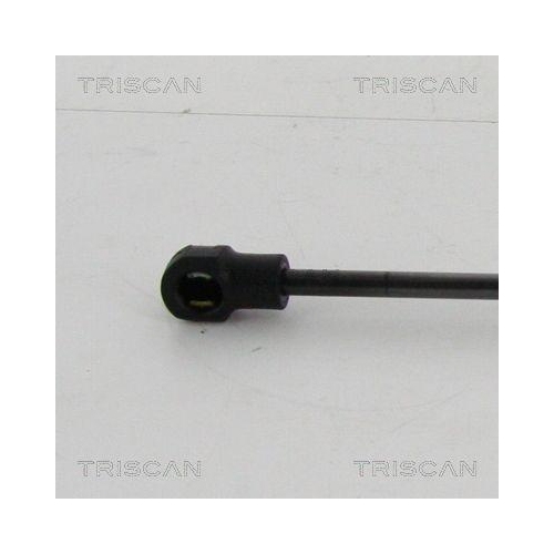 TRISCAN Gasfeder, Koffer-/Laderaum 8710 29286