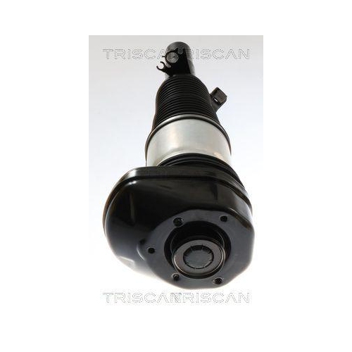 TRISCAN Luftfederbein 8720 11102