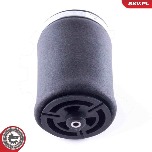 ESEN SKV Luftfeder, Fahrwerk 58SKV001