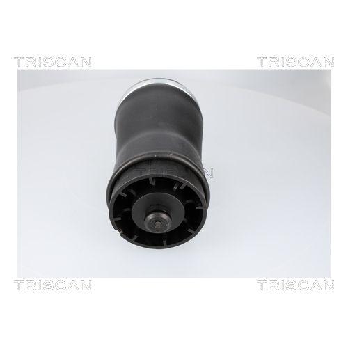 TRISCAN Luftfeder, Fahrwerk 8720 11204