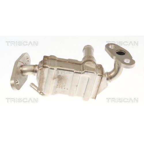 TRISCAN K&uuml;hler, Abgasr&uuml;ckf&uuml;hrung 8813 13072