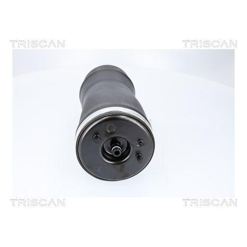TRISCAN Luftfeder, Fahrwerk 8720 11205
