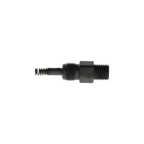 BOSCH Ventil, Abgasr&uuml;ckf&uuml;hrung F 00N 204 008