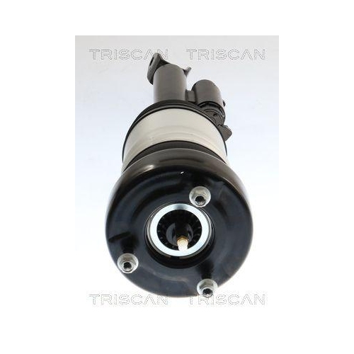 TRISCAN Luftfederbein 8720 23104