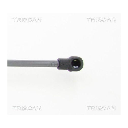 TRISCAN Gasfeder, Koffer-/Laderaum 8710 112011