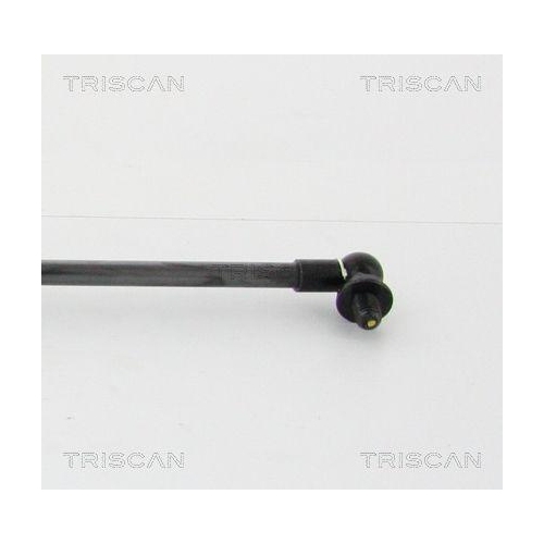 TRISCAN Gasfeder, Koffer-/Laderaum 8710 42242