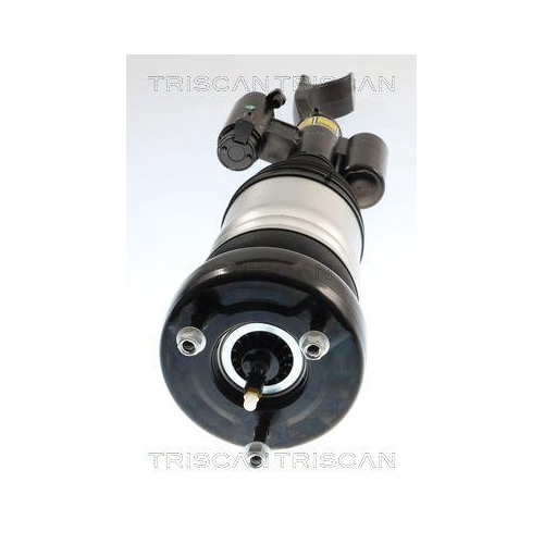 TRISCAN Luftfederbein 8720 23107