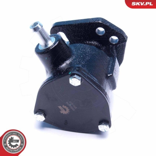 ESEN SKV Unterdruckpumpe, Bremsanlage 18SKV058