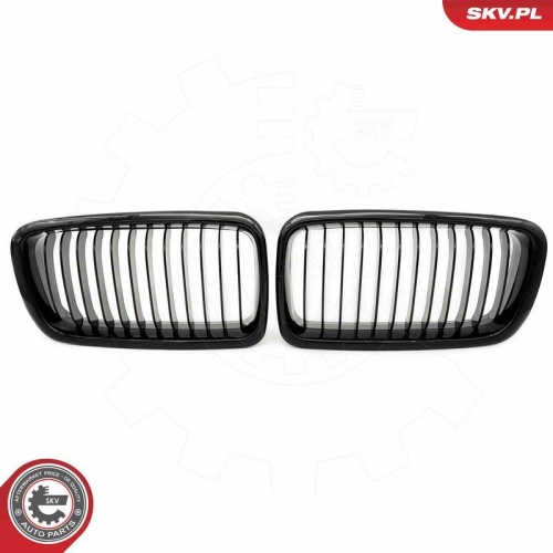 ESEN SKV Kühlergitter