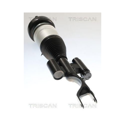 TRISCAN Luftfederbein 8720 23108