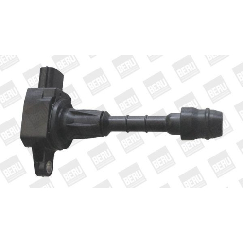 BorgWarner (BERU) Z&uuml;ndspule ZSE188