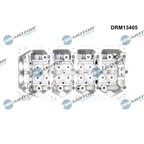 Dr.Motor Automotive Zylinderkopf DRM13405