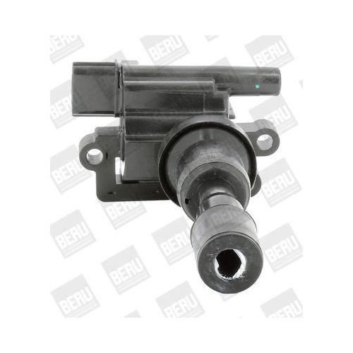 BorgWarner (BERU) Z&uuml;ndspule ZSE193