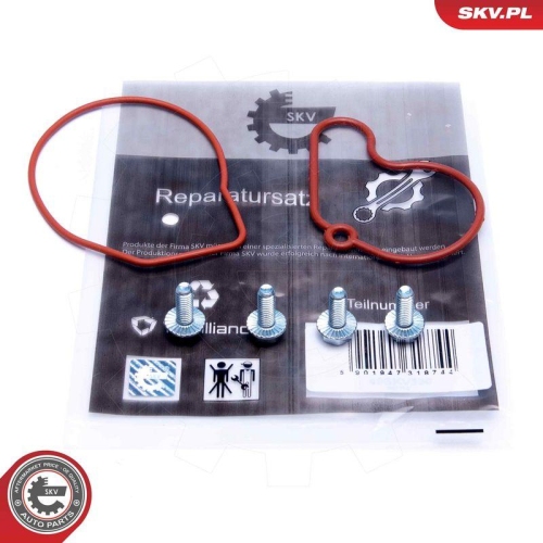 ESEN SKV Reparatursatz, Unterdruckpumpe (Bremsanlage) 18SKV807