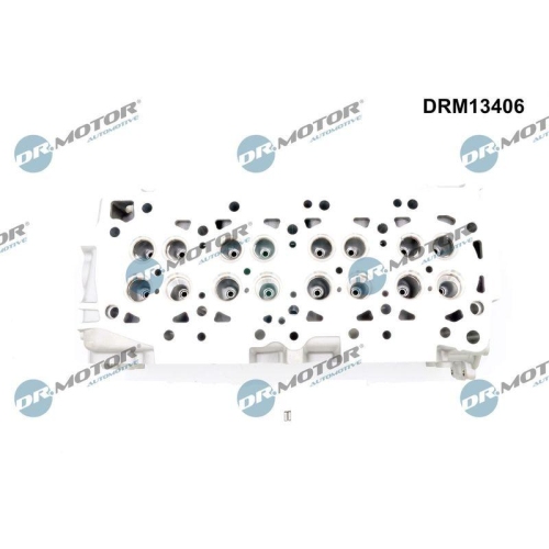 Dr.Motor Automotive Zylinderkopf DRM13406