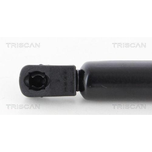 TRISCAN Gasfeder, Koffer-/Laderaum 8710 43230