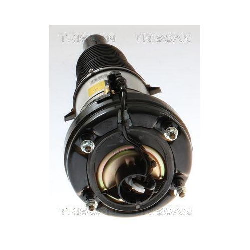 TRISCAN Luftfederbein 8720 29105