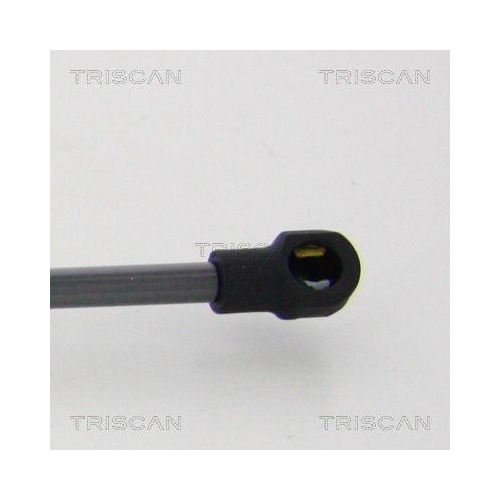 TRISCAN Gasfeder, Koffer-/Laderaum 8710 21215