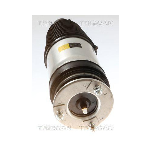 TRISCAN Luftfeder, Fahrwerk 8720 81102
