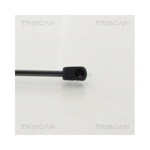 TRISCAN Gasfeder, Koffer-/Laderaum 8710 43246