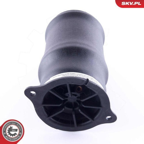 ESEN SKV Luftfeder, Fahrwerk 58SKV014