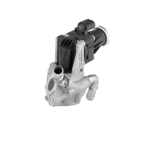 BorgWarner AGR-Ventil 712017D