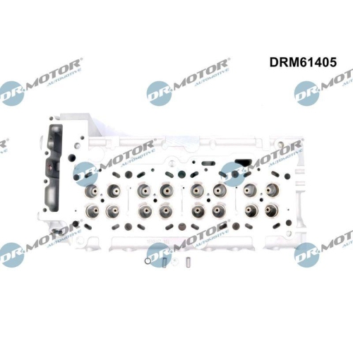 Dr.Motor Automotive Zylinderkopf DRM61405