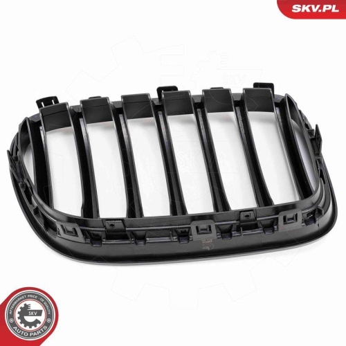 ESEN SKV Kühlergitter