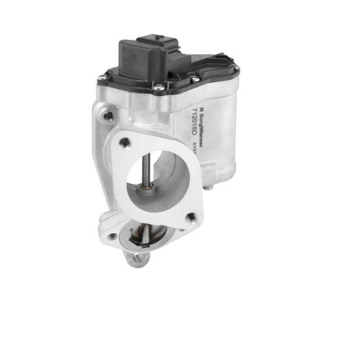 BorgWarner AGR-Ventil 712018D