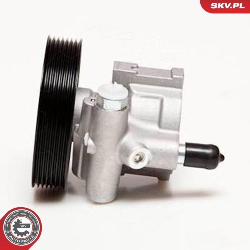 ESEN SKV Hydraulikpumpe, Lenkung 10SKV115