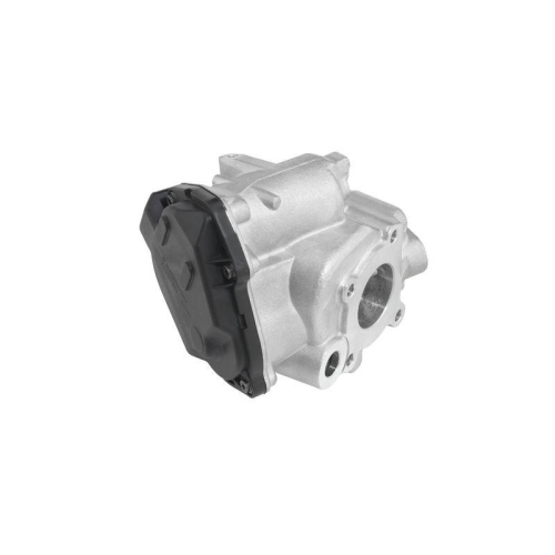 BorgWarner AGR-Ventil 712019D