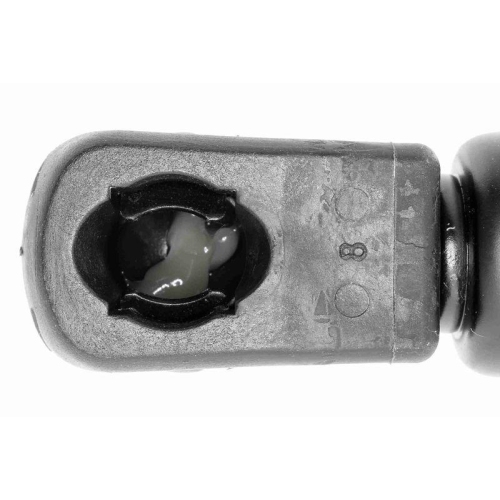 VAICO Gasfeder, Motorhaube Original VAICO Qualit&auml;t V10-1973