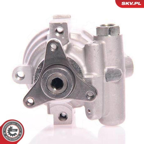 ESEN SKV Hydraulikpumpe, Lenkung 10SKV021