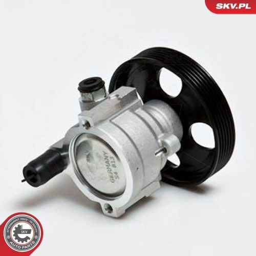 ESEN SKV Hydraulikpumpe, Lenkung 10SKV168