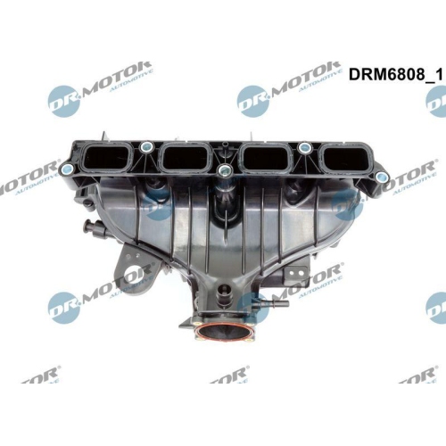 Dr.Motor Automotive Saugrohrmodul DRM6808