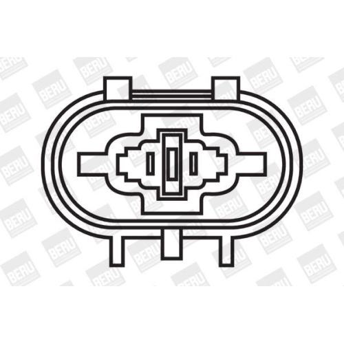 BorgWarner (BERU) Z&uuml;ndspule ZS261