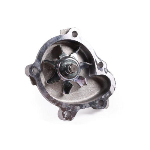 HEPU Wasserpumpe, Motork&uuml;hlung P341