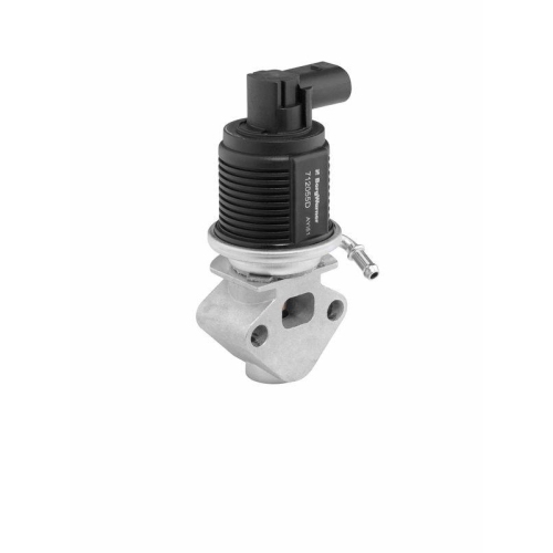 BorgWarner AGR-Ventil 712055D